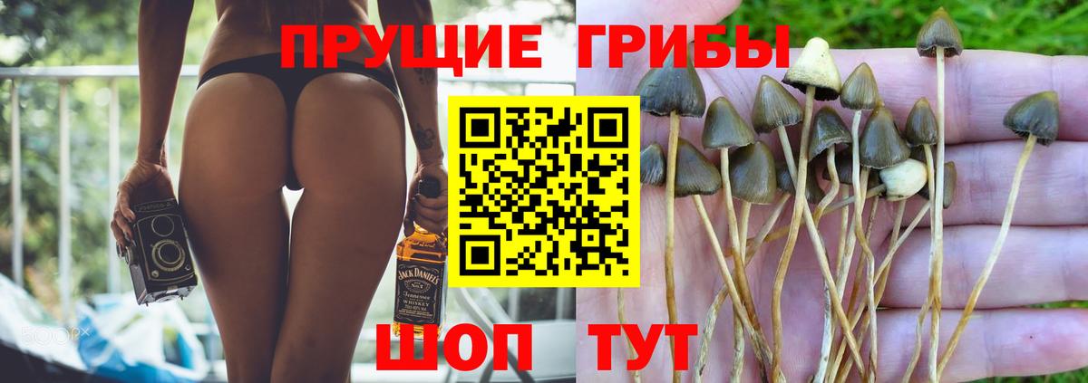 Псилоцибиновые грибы прущие грибы  Вход с VPN  Лесосибирск 
